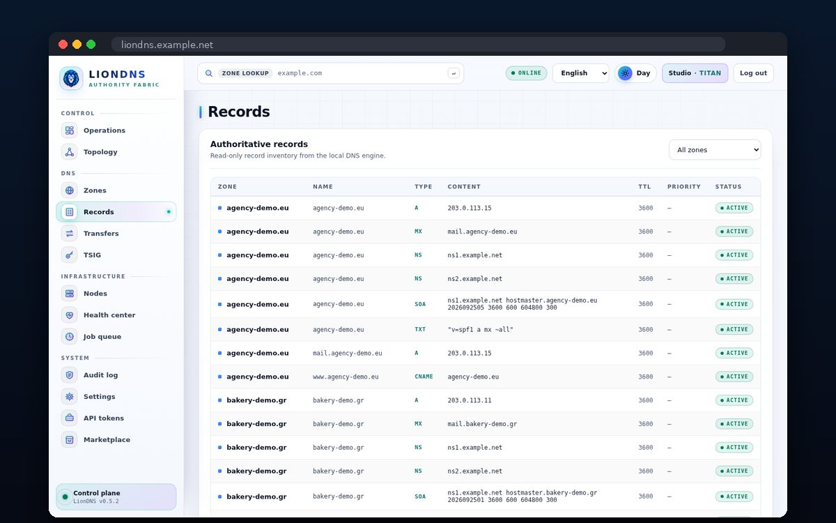 LionDNS — Authoritative records across all zones