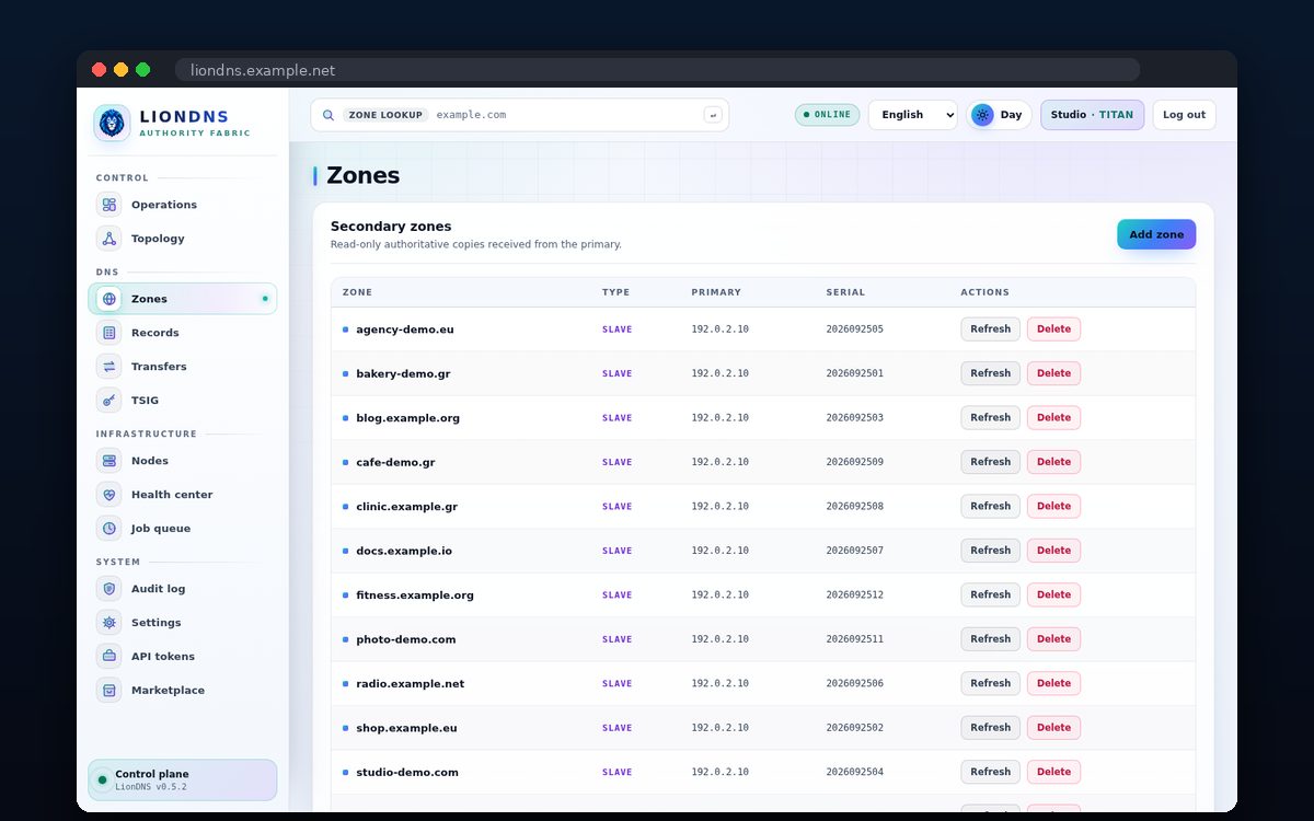 LionDNS — Secondary zone management
